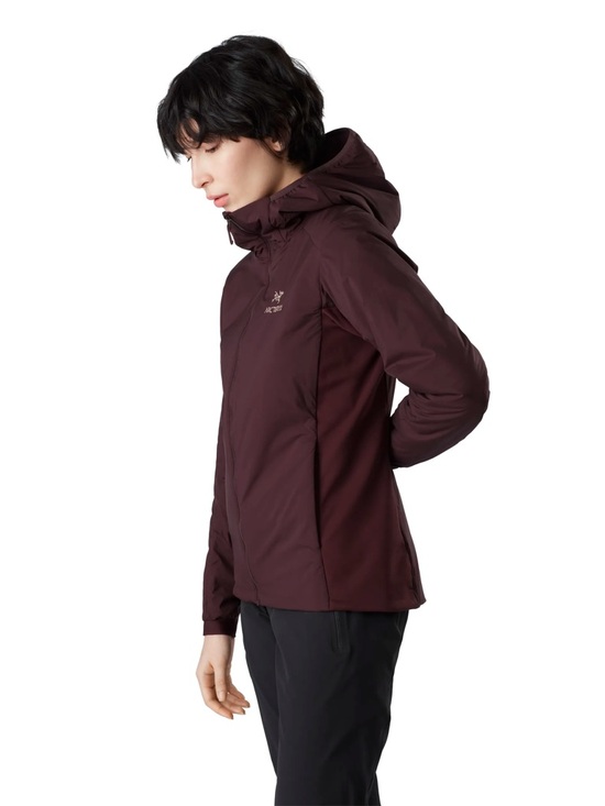 Arc'teryx Jackets & Blazers - Arc’teryx Atom LT Hoody Jacket Insulated Phantasm Brown XL EUC